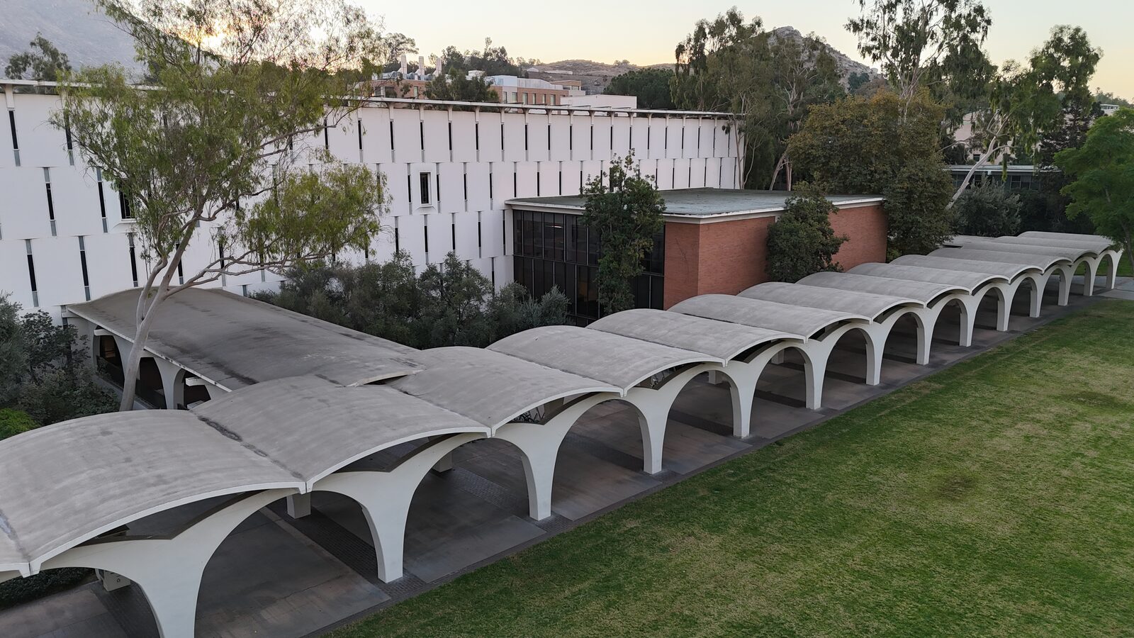 UC Riverside Tomas Rivera Library
